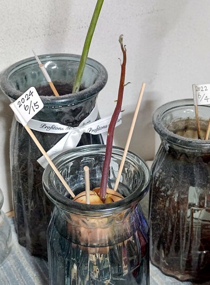 ガラス花瓶/DAISO/その他を使ったクチコミ(1枚目)