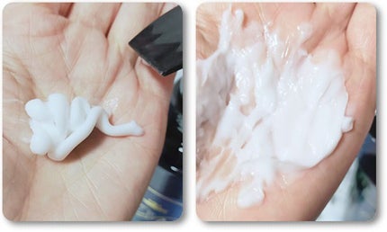 シャンプー (スクアレンシャンプー)/トリートメント (スクアレントリートメント)/sVEAS/市販シャンプーを使ったクチコミ(2枚目)