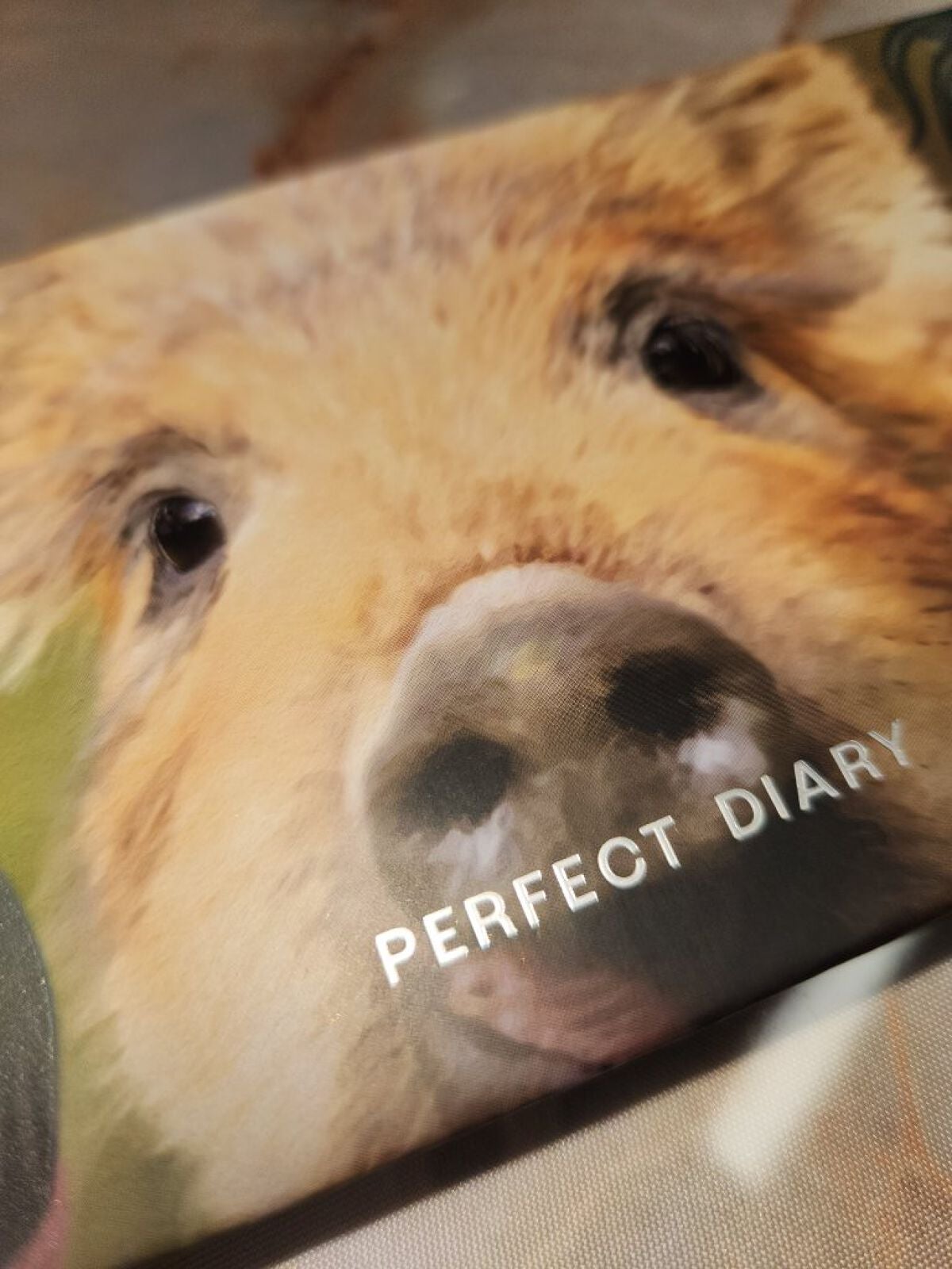エクスプローラ12色 動物アイシャドウパレット/PERFECT DIARY/アイシャドウパレットを使ったクチコミ(1枚目)