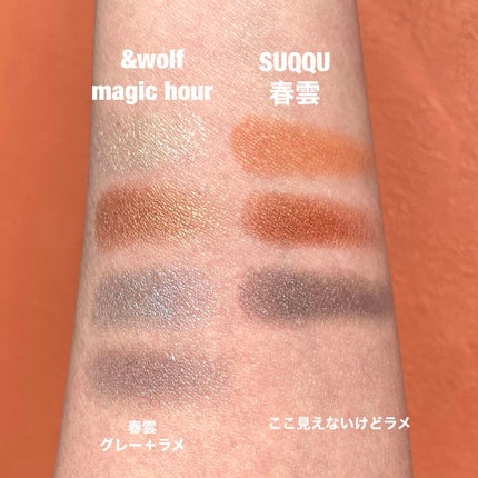 コンスピキュアス リップス/Amplitude/口紅を使ったクチコミ(6枚目)