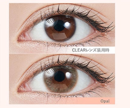 TOPARDS 1day/TOPARDS/ワンデー(1DAY)カラコンを使ったクチコミ(4枚目)