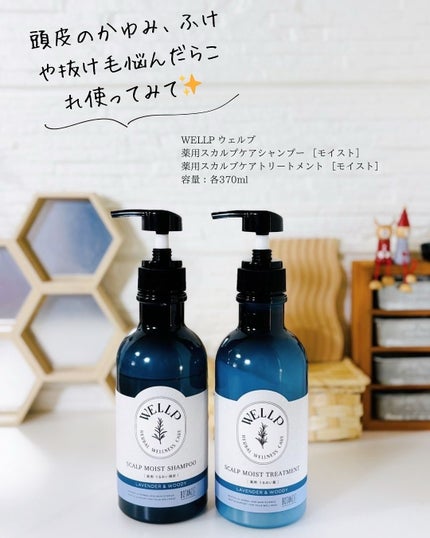 薬用スカルプケアシャンプー/トリートメント スムース/WELLP/市販シャンプーを使ったクチコミ(2枚目)