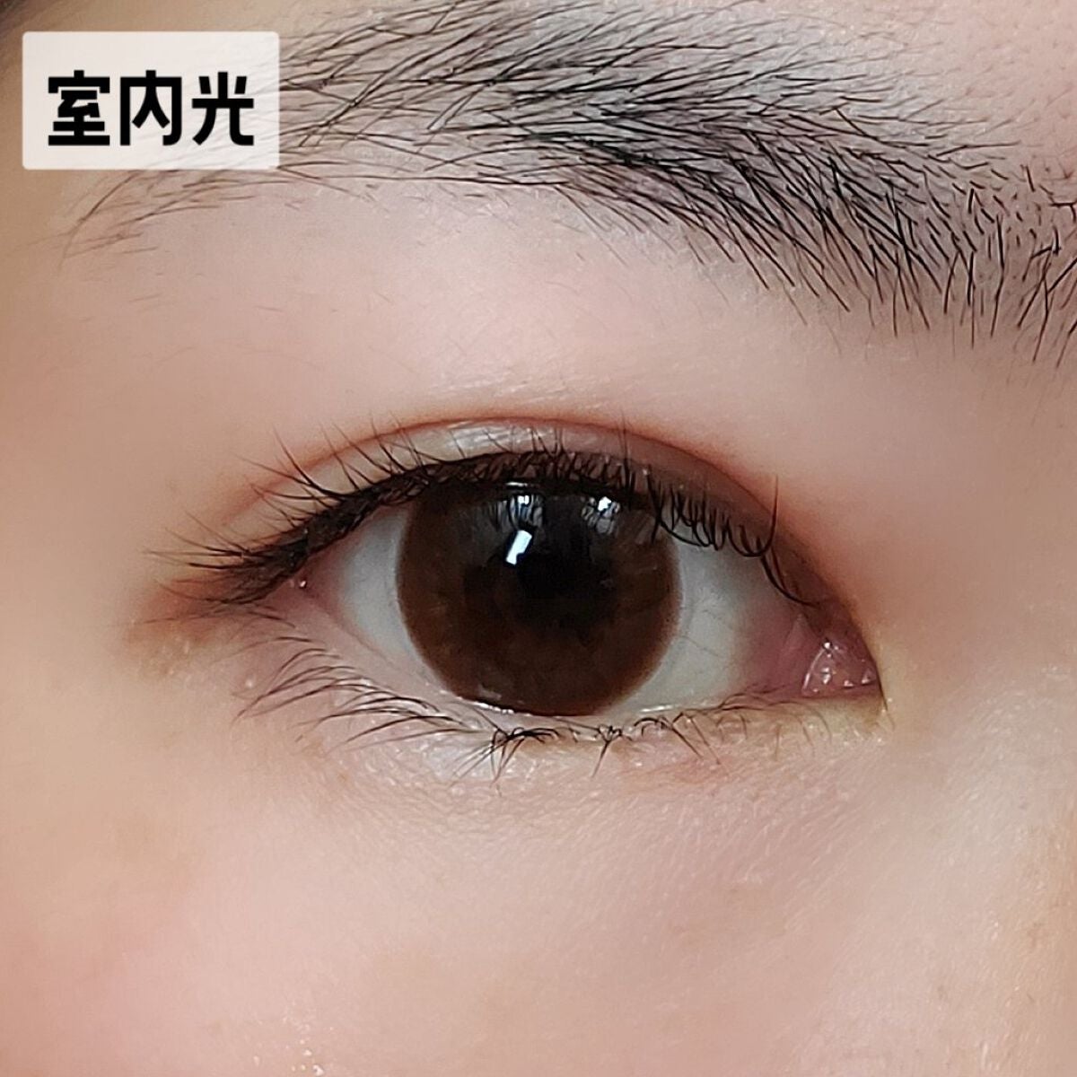 TeAmo 1DAY/TeAmo/ワンデー(1DAY)カラコンを使ったクチコミ(3枚目)