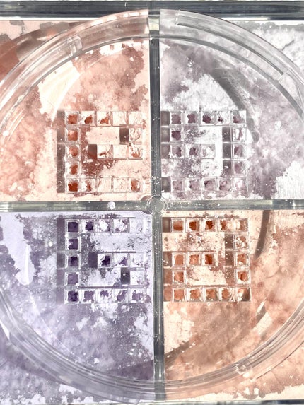 プリズム・リーブル/GIVENCHY/ルースパウダーを使ったクチコミ(2枚目)