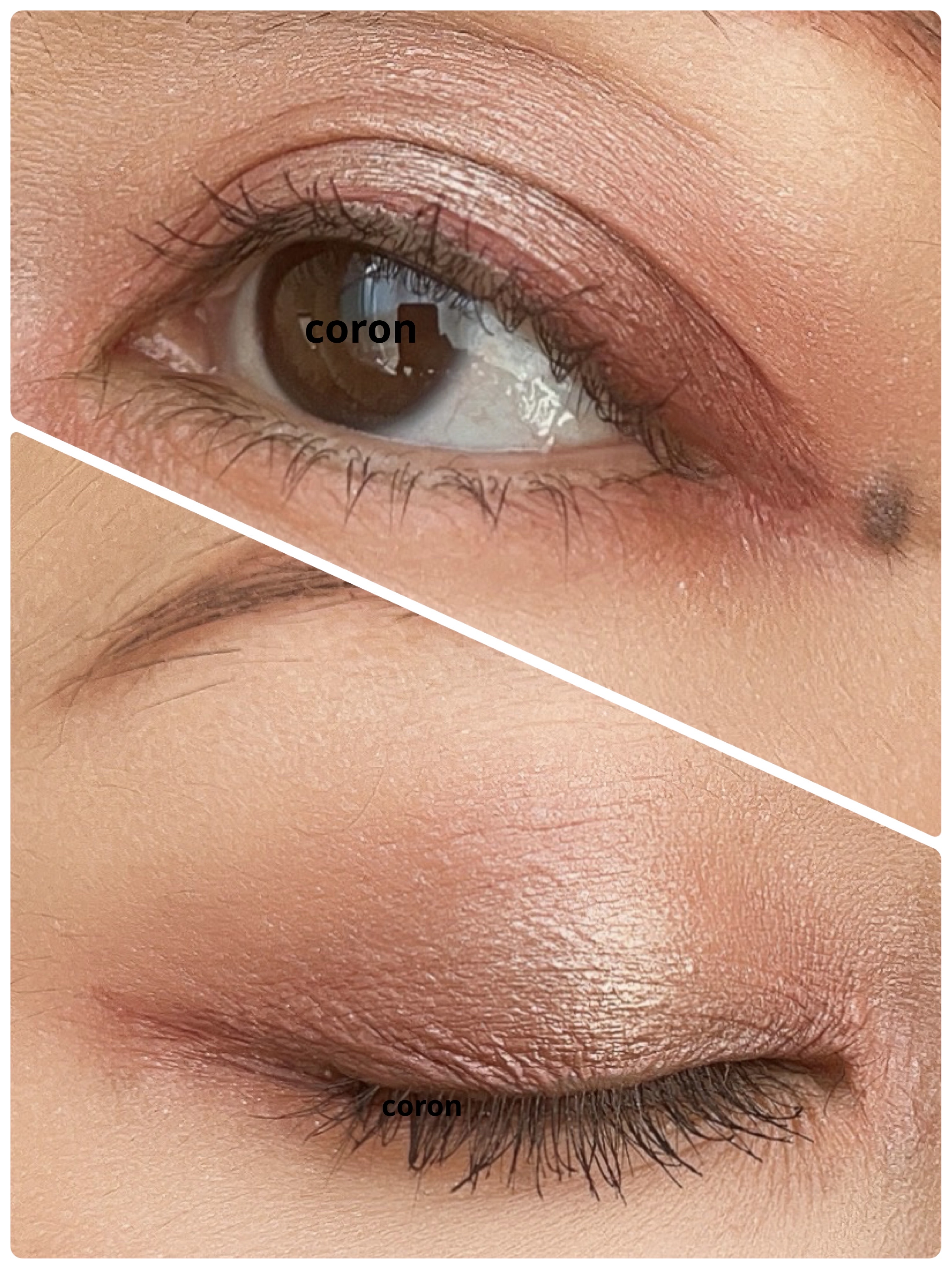 クロマティックス クワッド/shu uemura/アイシャドウパレットを使ったクチコミ（2枚目）