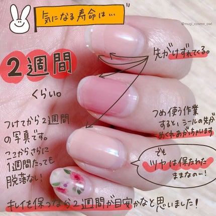 ダッシングディバグロスジェルネイルストリップ Purist Pink/DASHINGDIVA MAGICPRESS/ネイルシールの画像