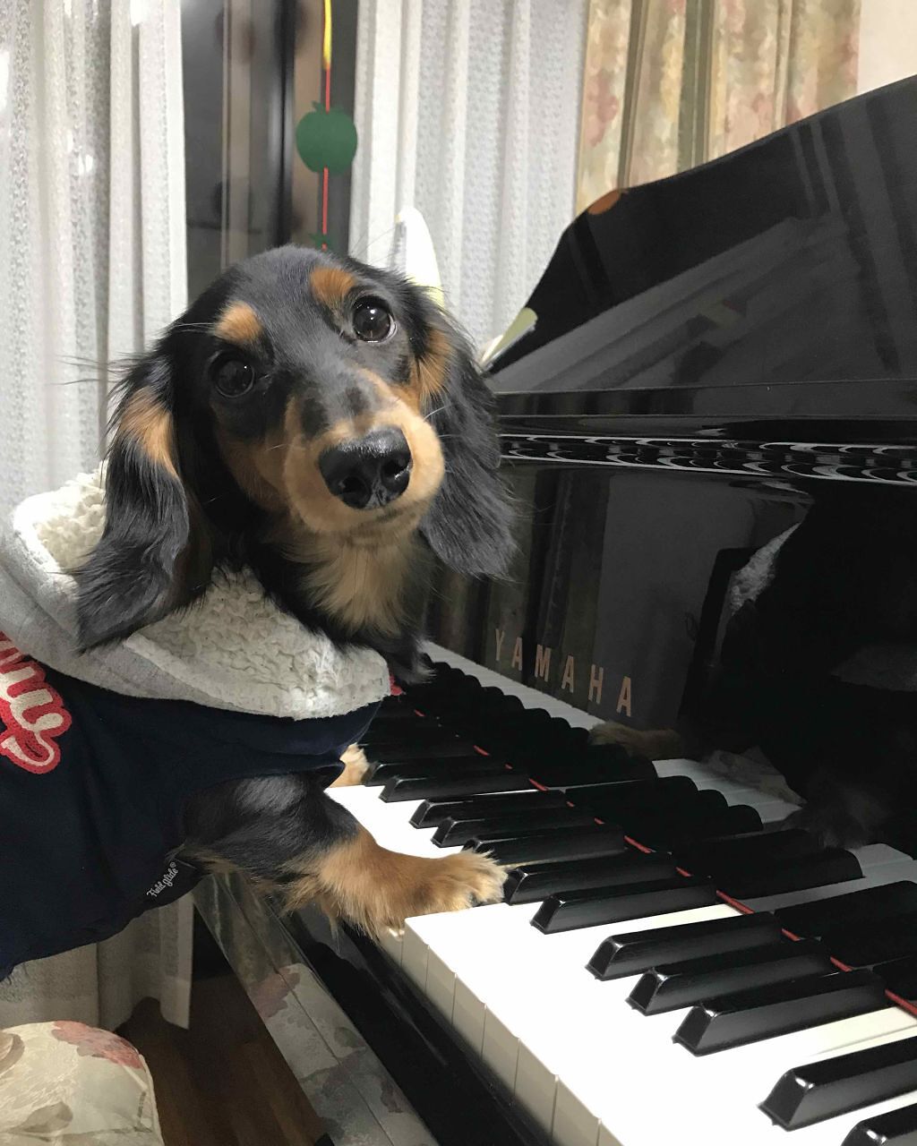 【旧品】パーフェクトスタイリストアイズ/キャンメイク/アイシャドウパレットを使ったクチコミ(4枚目)