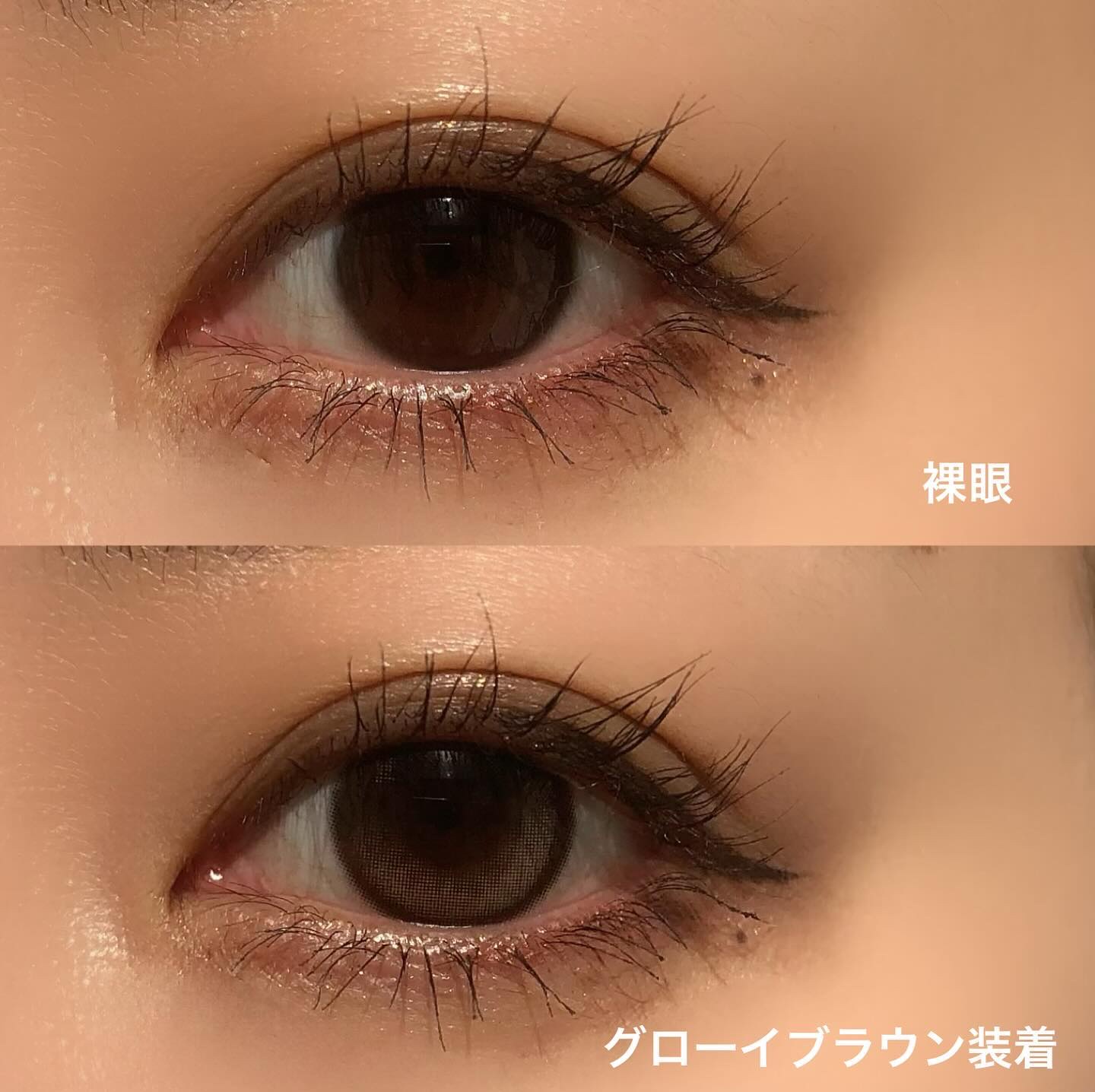 ViVi Ring 1day/OLENS/ワンデー（１DAY）カラコンを使ったクチコミ（3枚目）