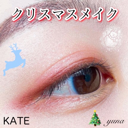 トーンディメンショナルパレット/KATE/メイクアップキットを使ったクチコミ(1枚目)