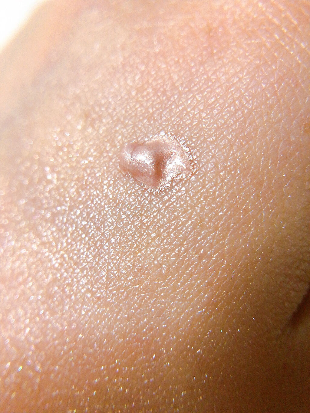 フェイス ハイライター/BOBBI BROWN/リキッドハイライトを使ったクチコミ（3枚目）