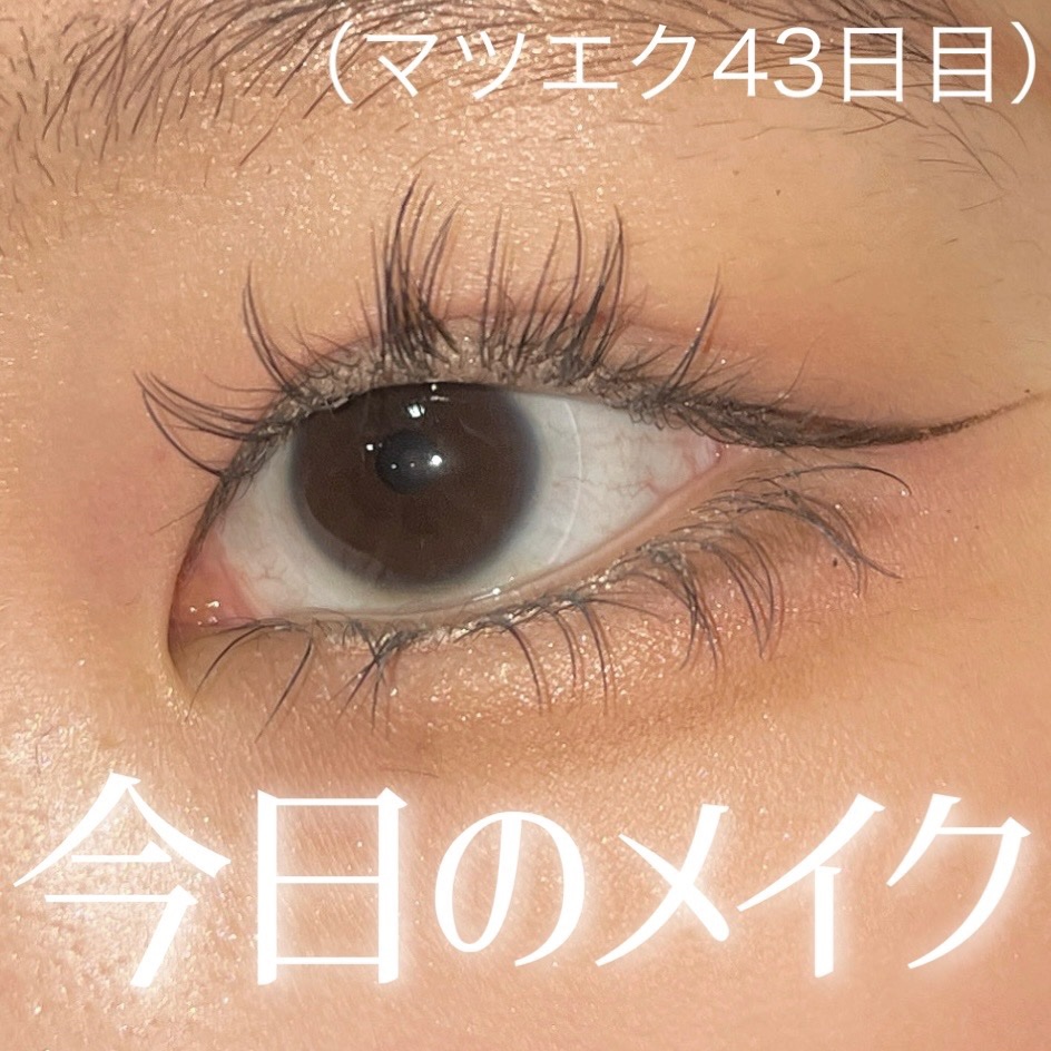 プライムリキッドアイライナー リッチジュエル/ヒロインメイク/リキッドアイライナーを使ったクチコミ（1枚目）