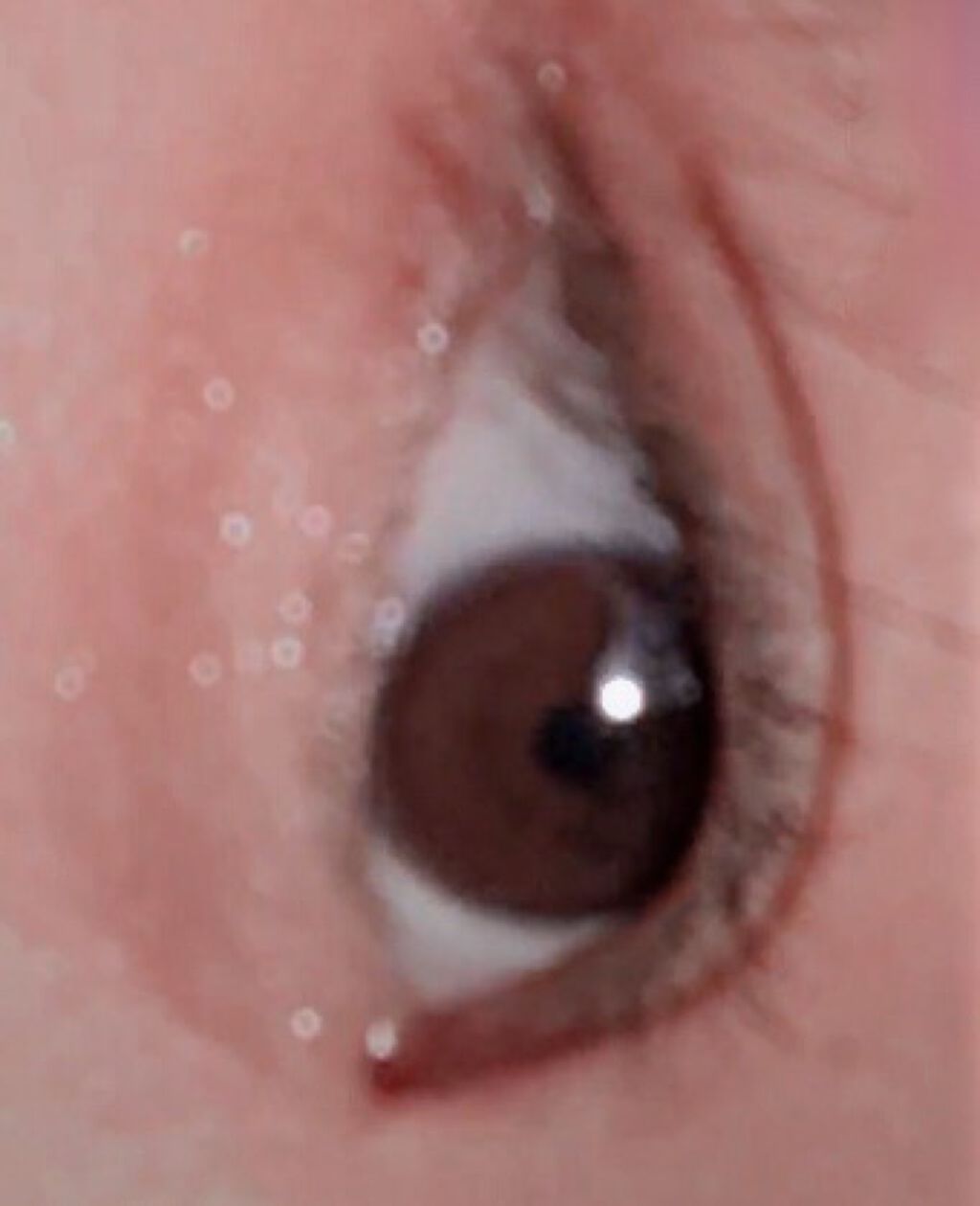 パーフェクトマルチアイズ/キャンメイク/アイシャドウパレットを使ったクチコミ（2枚目）