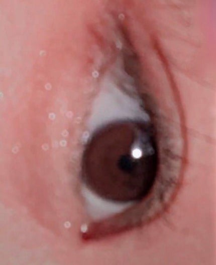 パーフェクトスタイリストアイズ/キャンメイク/アイシャドウパレットを使ったクチコミ(2枚目)