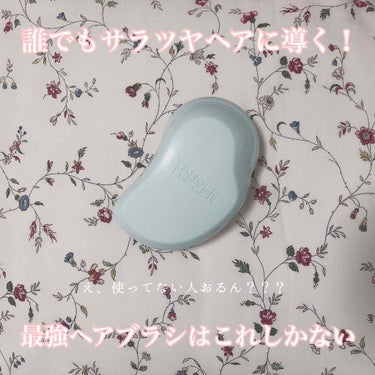 ザ・オリジナル ノーマル/TANGLE TEEZER/ヘアブラシを使ったクチコミ（1枚目）