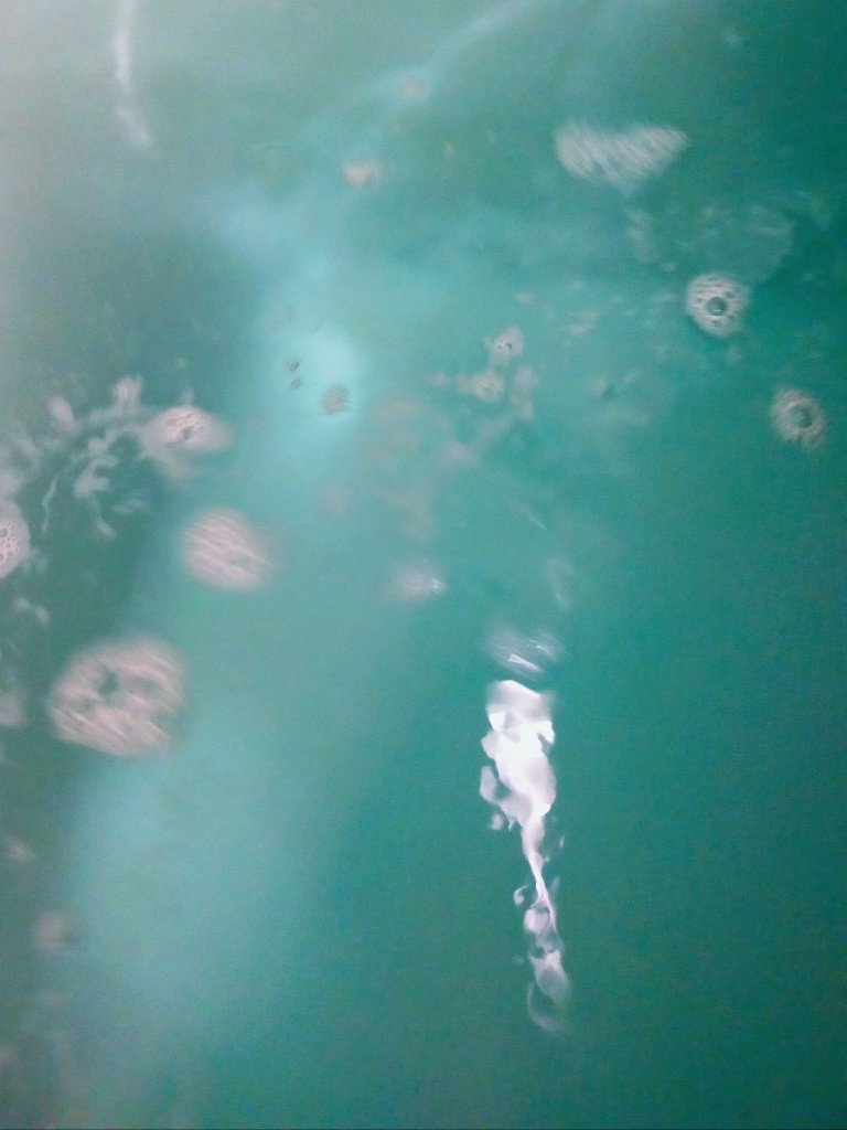 クナイプ バスソルト スーパーミントの香り 850g/クナイプ/無機塩系入浴剤を使ったクチコミ（3枚目）