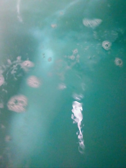 クナイプ バスソルト スーパーミントの香り/クナイプ/無機塩系入浴剤を使ったクチコミ(3枚目)