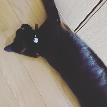 ððððð on LIPS ã..ãïŒ7æç®ïŒ