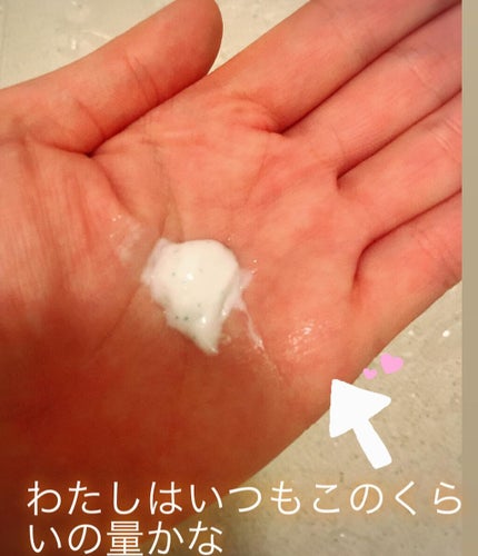 フェイスポリッシャー リフレッシング(ミント)/SABON/スクラブ・ゴマージュを使ったクチコミ(3枚目)