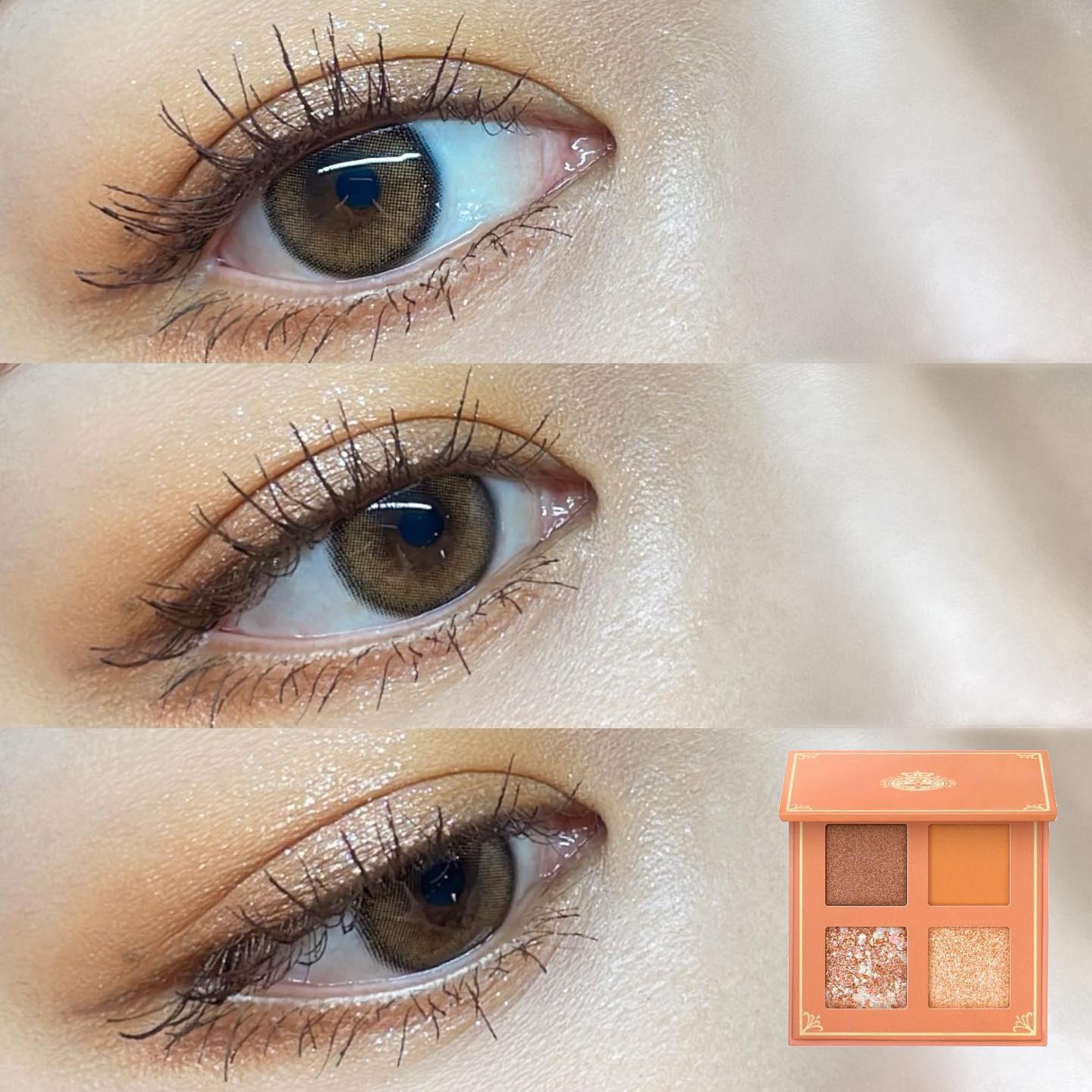 シャドーフラッシュ /MAJOLICA MAJORCA/アイシャドウパレットを使ったクチコミ（1枚目）