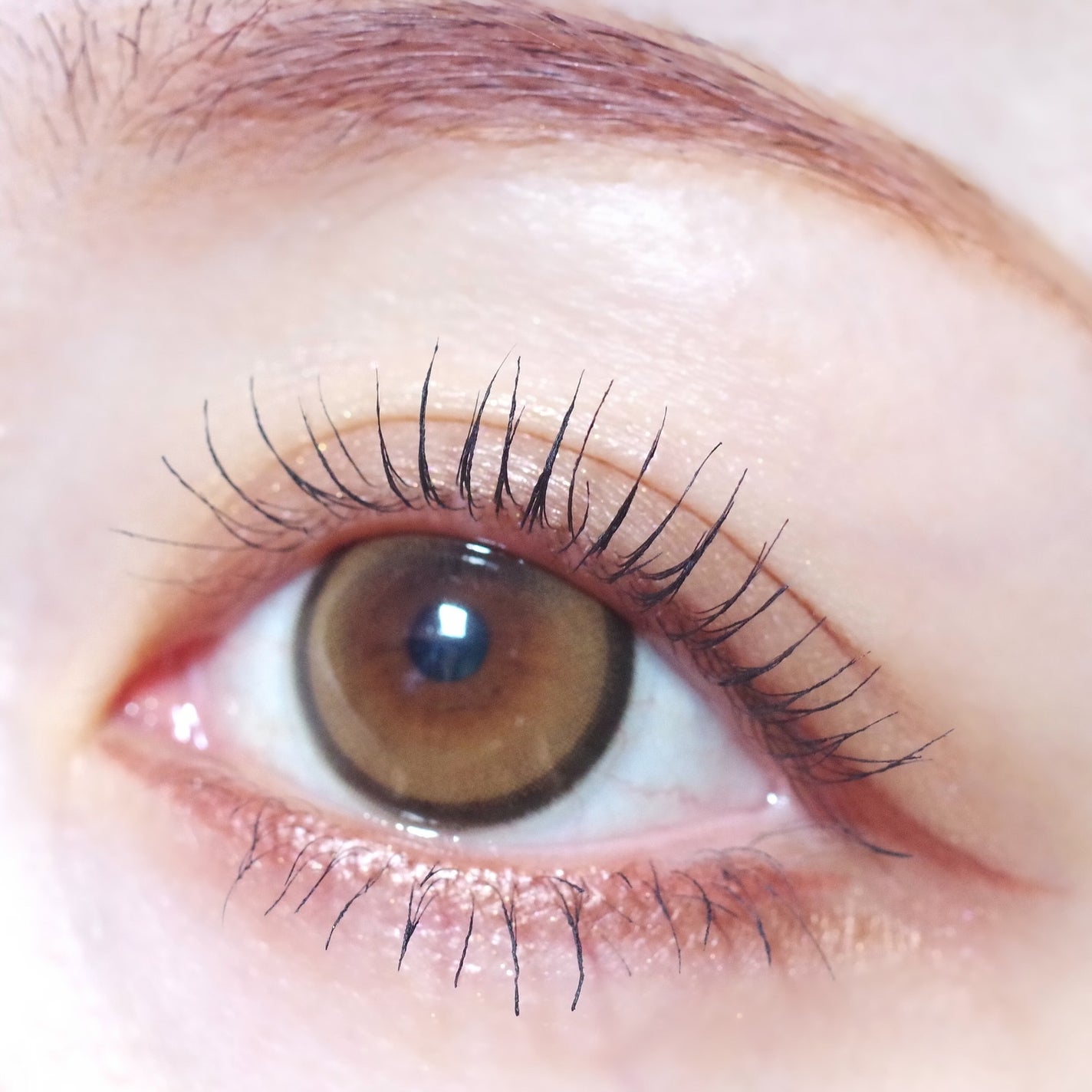 デザイニングブラウンアイズ/KATE/アイシャドウパレットを使ったクチコミ(4枚目)