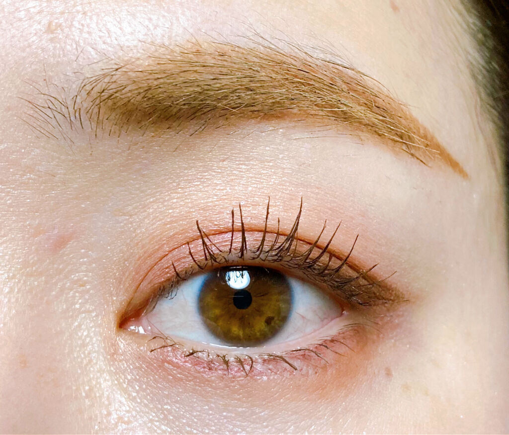 ゴクブトマスカラ/キャンメイク/マスカラを使ったクチコミ（1枚目）