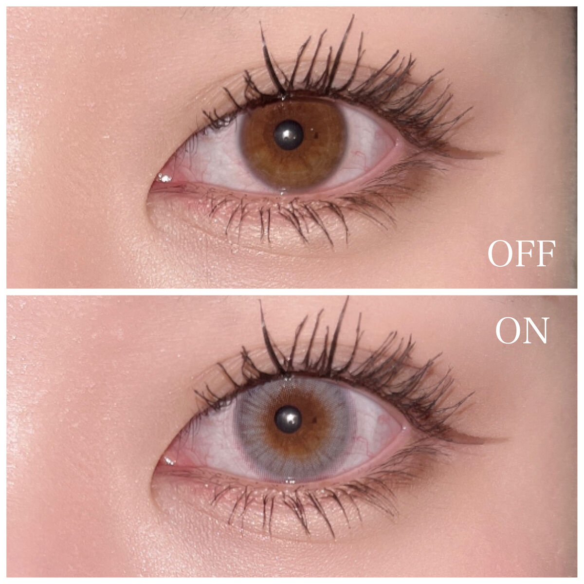 ブロー(Blow) ミッドナイトグレー(Midnight Gray)/OLOLA/カラーコンタクトレンズを使ったクチコミ（3枚目）