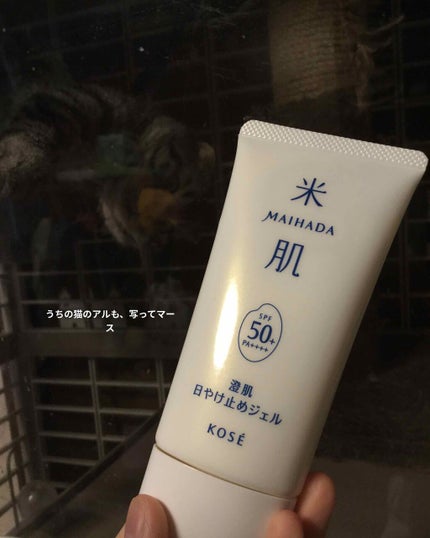 を使ったクチコミ(1枚目)