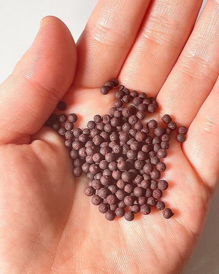 気分転換S/Qoo10/健康サプリメントを使ったクチコミ(4枚目)