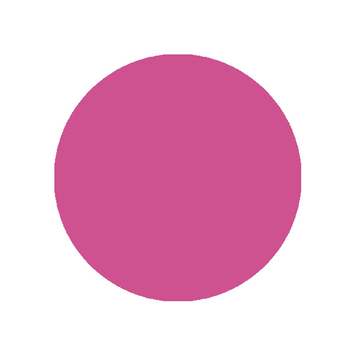 リップスティック N 220 ボンアンファン