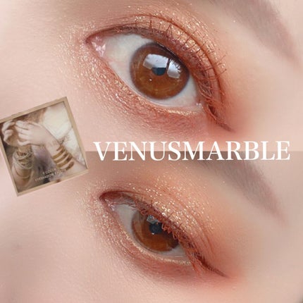 VenusMarble 9色アイシャドウパレット/Venus Marble/アイシャドウパレットを使ったクチコミ(1枚目)