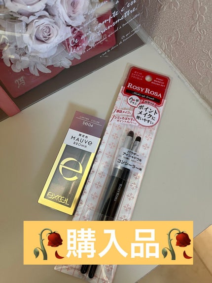 スタイリング パウダーアイブロウ/excel/パウダーアイブロウを使ったクチコミ(1枚目)