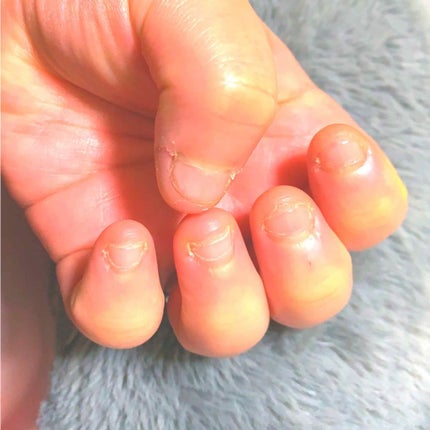 を使ったクチコミ(1枚目)