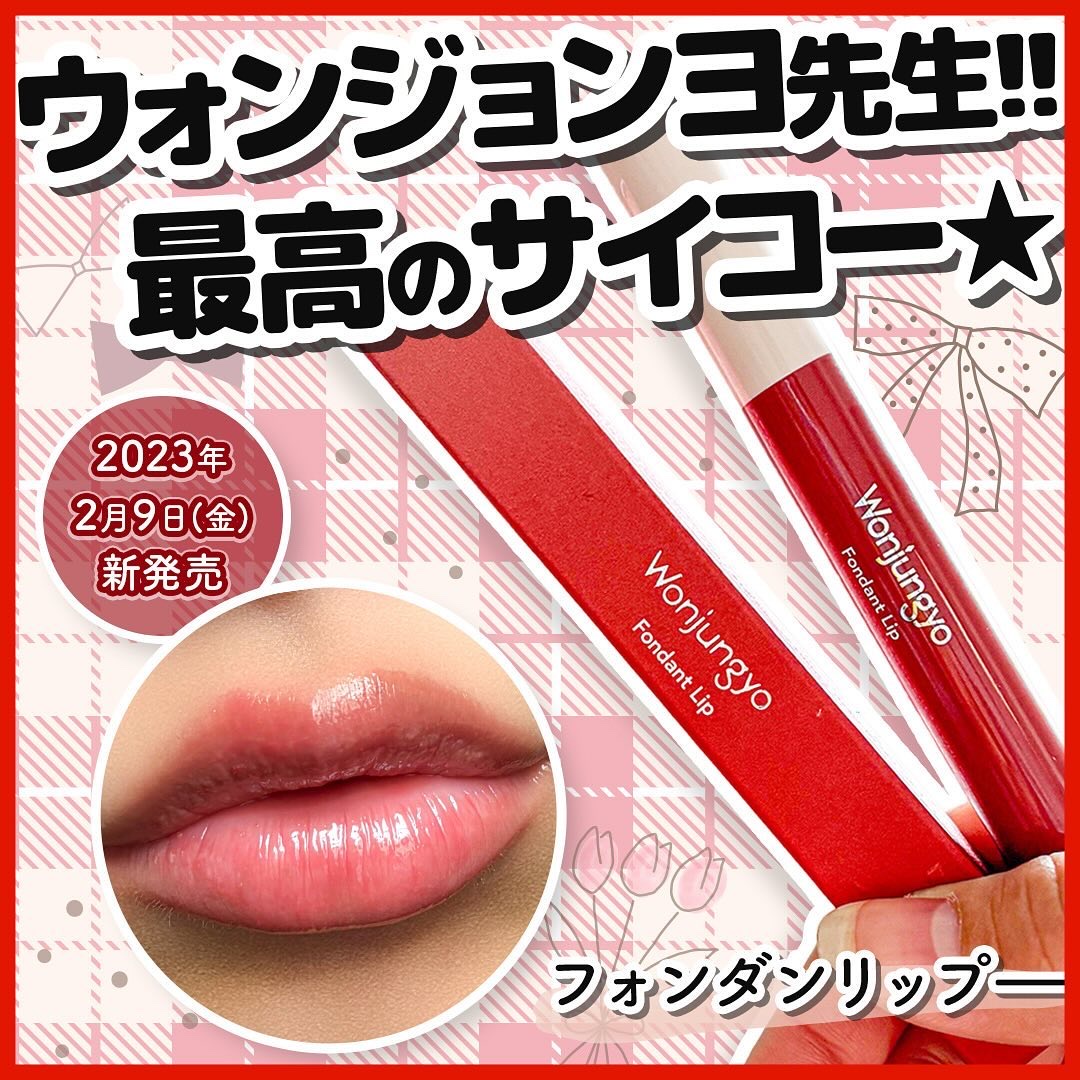 ウォンジョンヨ フォンダンリップ/Wonjungyo/口紅を使ったクチコミ（1枚目）