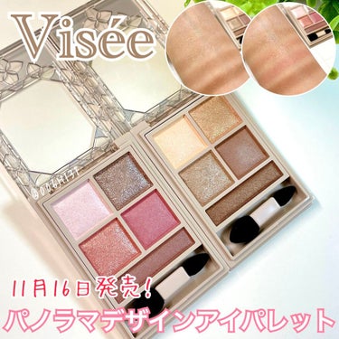 パノラマデザイン アイパレット/Visée/アイシャドウパレットを使ったクチコミ（1枚目）