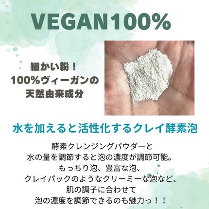 グリーン クレイ酵素クレンザー/SKIN SIGNAL/洗顔パウダーを使ったクチコミ(3枚目)