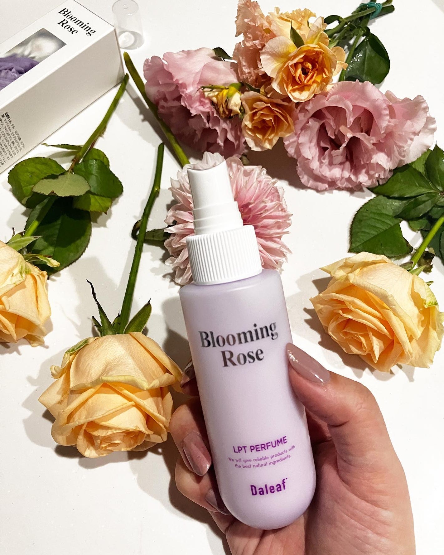 パフュームヘアパックインミスト Pink Breeze/Daleaf/アウトバストリートメントを使ったクチコミ(1枚目)