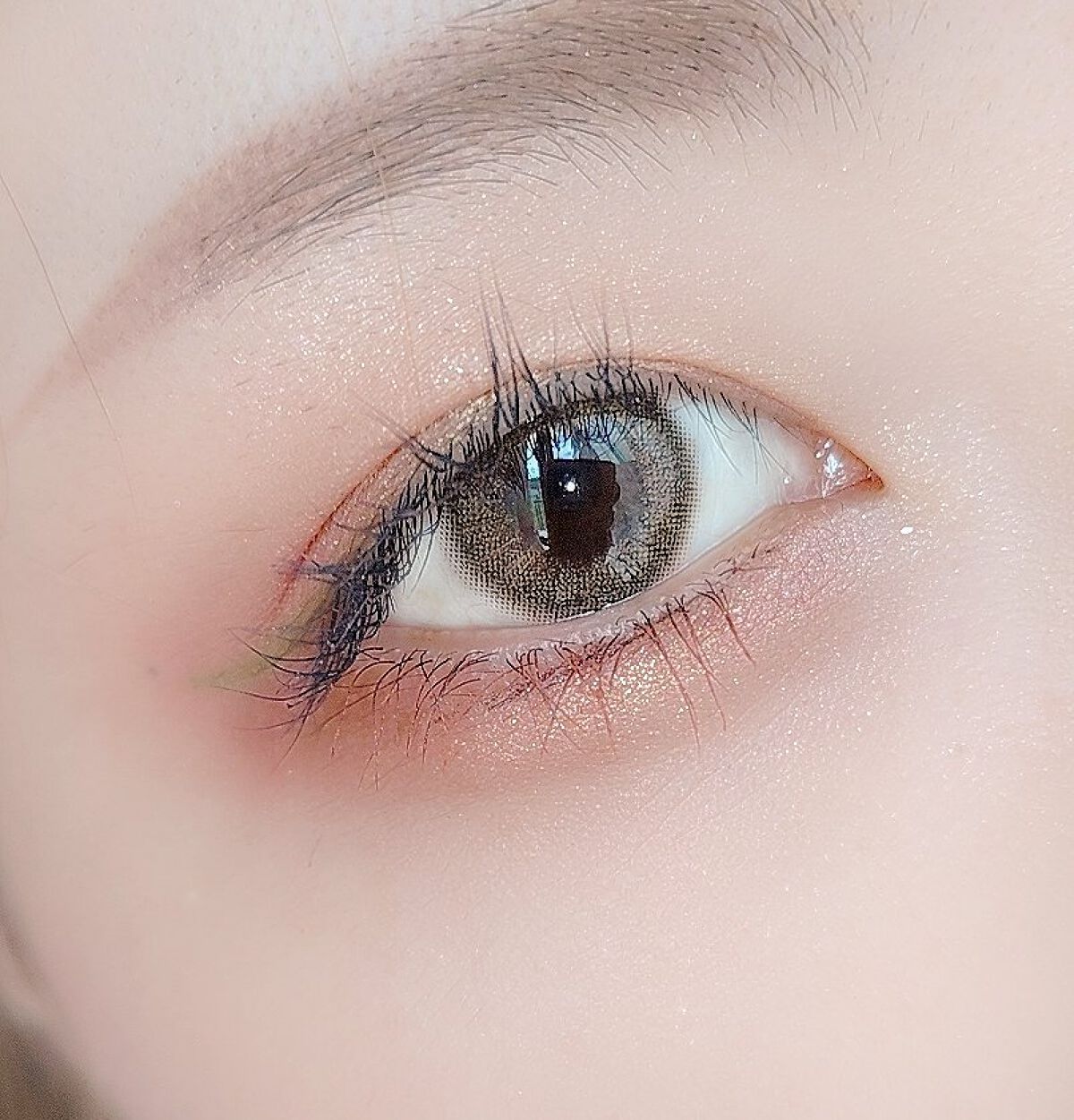 エクスプローラ12色 動物アイシャドウパレット/PERFECT DIARY/アイシャドウパレットを使ったクチコミ（2枚目）