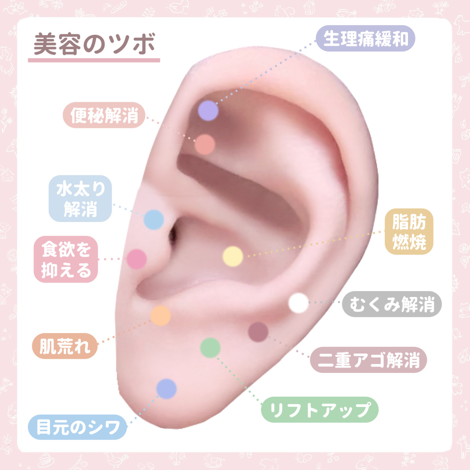 ツボ押し美容けっこうよくにゃる耳つぼ/ビューティーワールド/ボディグッズを使ったクチコミ（2枚目）