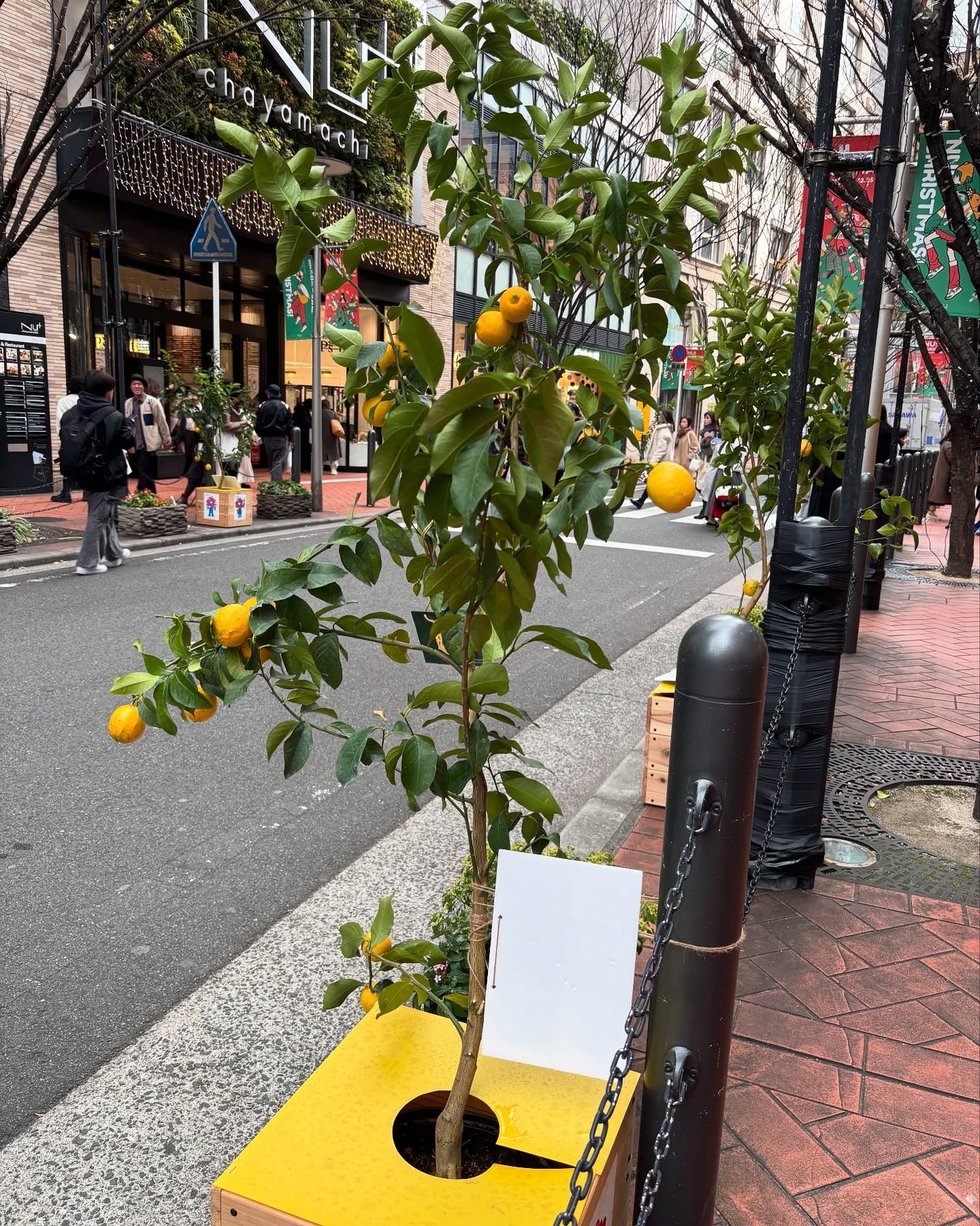 ちゃんぶぅ 投稿ある方フォロバ💕ちょっと遅くなるけど on LIPS 「爪派手にしようと思ったけど…やっぱりナチュラル色😂ちゃんぶぅ調..」(5枚目)