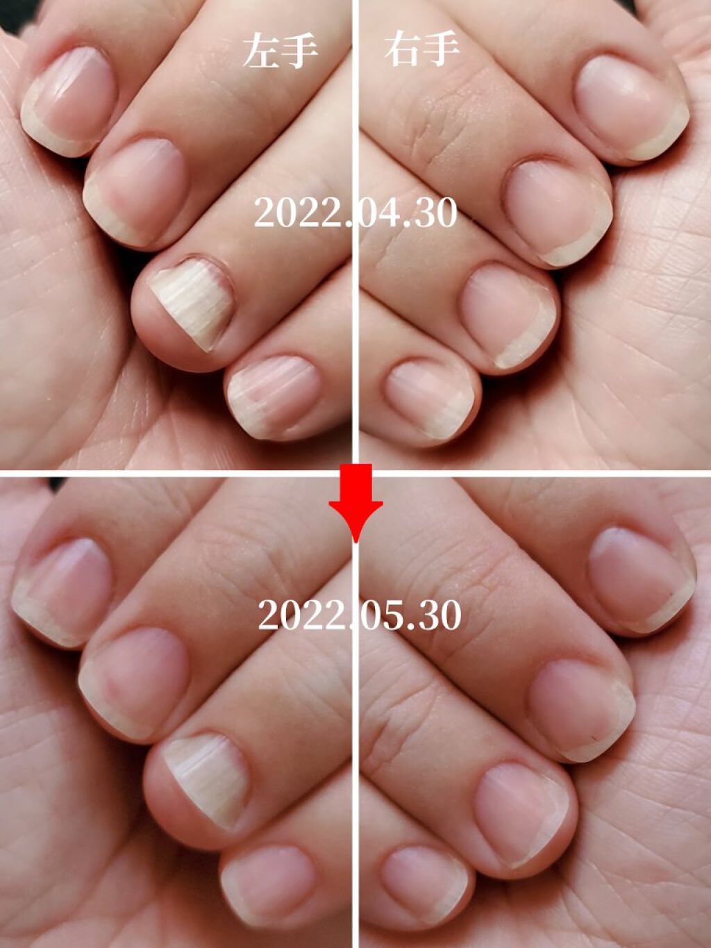 ハンドクリーム 無香料/パックスナチュロン/ハンドクリームを使ったクチコミ（3枚目）