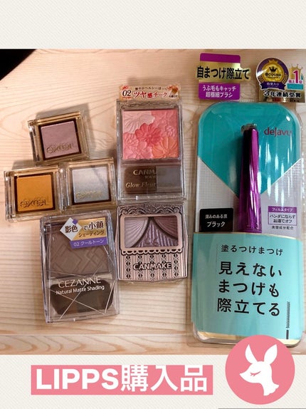 ナチュラルマットシェーディング/CEZANNE/シェーディングを使ったクチコミ(1枚目)