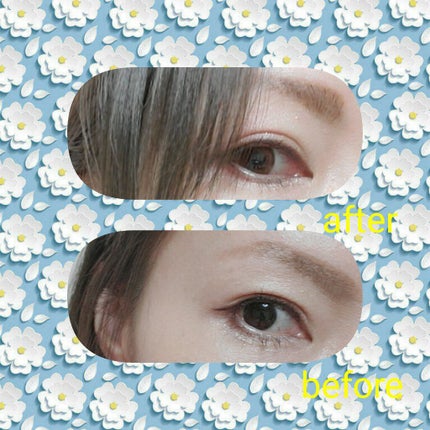 ã·ã(Chipi) ã¯ã³ããŒ/Chipi/ã¯ã³ããŒïŒïŒDAYïŒã«ã©ã³ã³ã䜿ã£ãã¯ãã³ãïŒ3æç®ïŒ