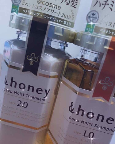 ディープモイスト シャンプー1.0／ヘアトリートメント2.0/&honey/シャンプー・コンディショナーを使ったクチコミ（1枚目）