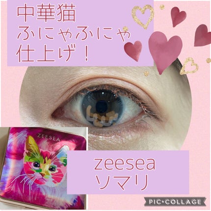 アニマルアイシャドウ(4シェード)/ZEESEA/アイシャドウパレットを使ったクチコミ(1枚目)