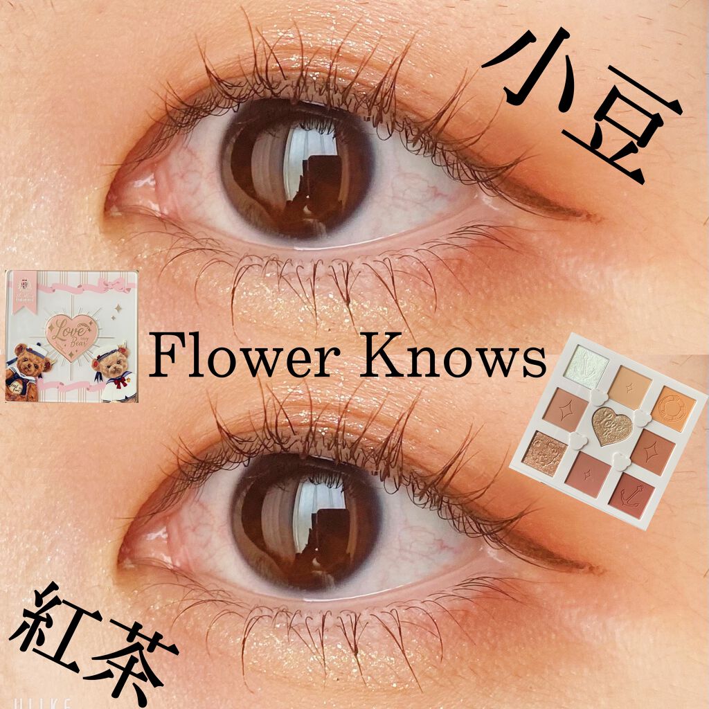 Love Bear 9色 アイシャドウパレット/FlowerKnows/アイシャドウパレットを使ったクチコミ(1枚目)