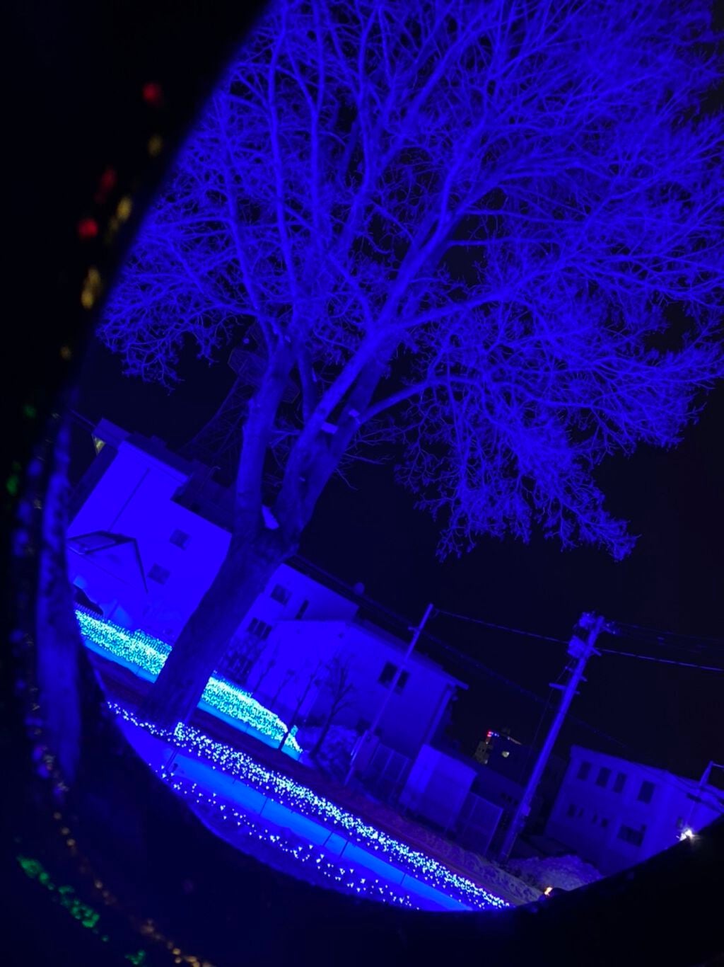 UR GLAM LIP OIL/U R GLAM/リップグロスを使ったクチコミ(2枚目)