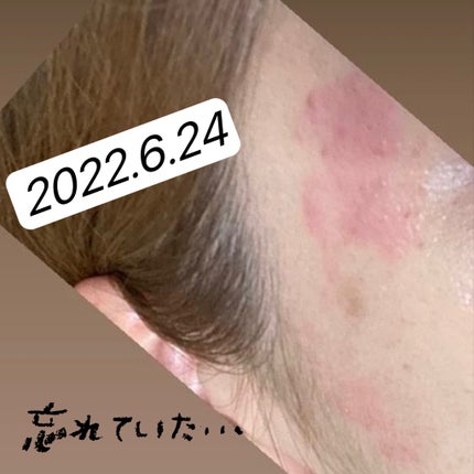 を使ったクチコミ(1枚目)