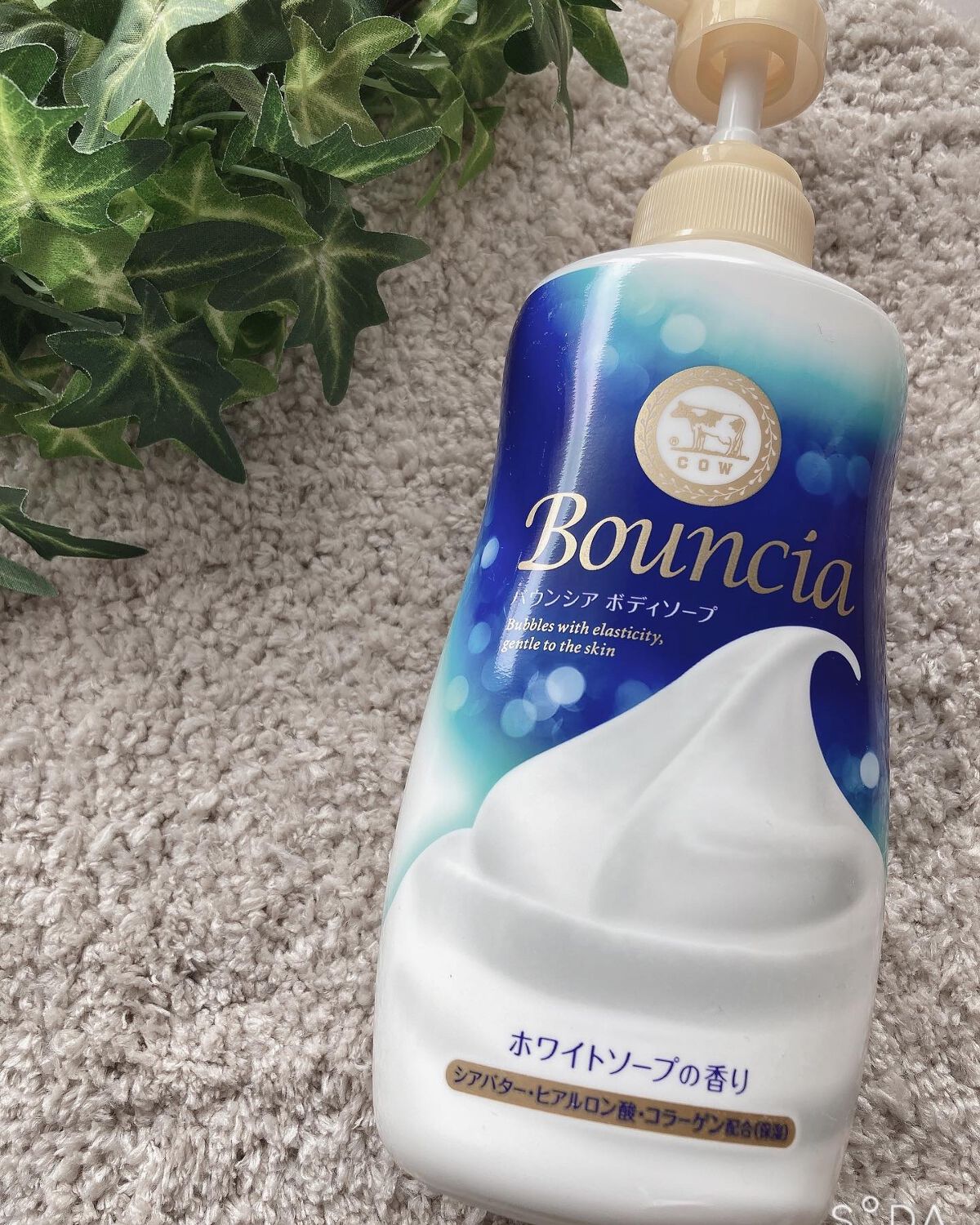 バウンシア ボディソープ ホワイトソープの香り/Bouncia/ボディソープを使ったクチコミ(1枚目)