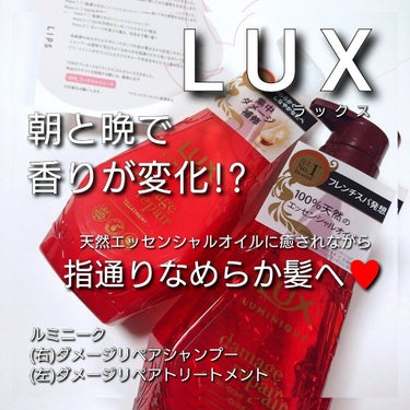 LUX ルミニーク ダメージリペア シャンプー／トリートメントのクチコミ「今回は、夜と朝香りが変化する！？🌹
香りに癒されながら髪の指通りを体感💕
LUX(ラックス)か.....」（1枚目）