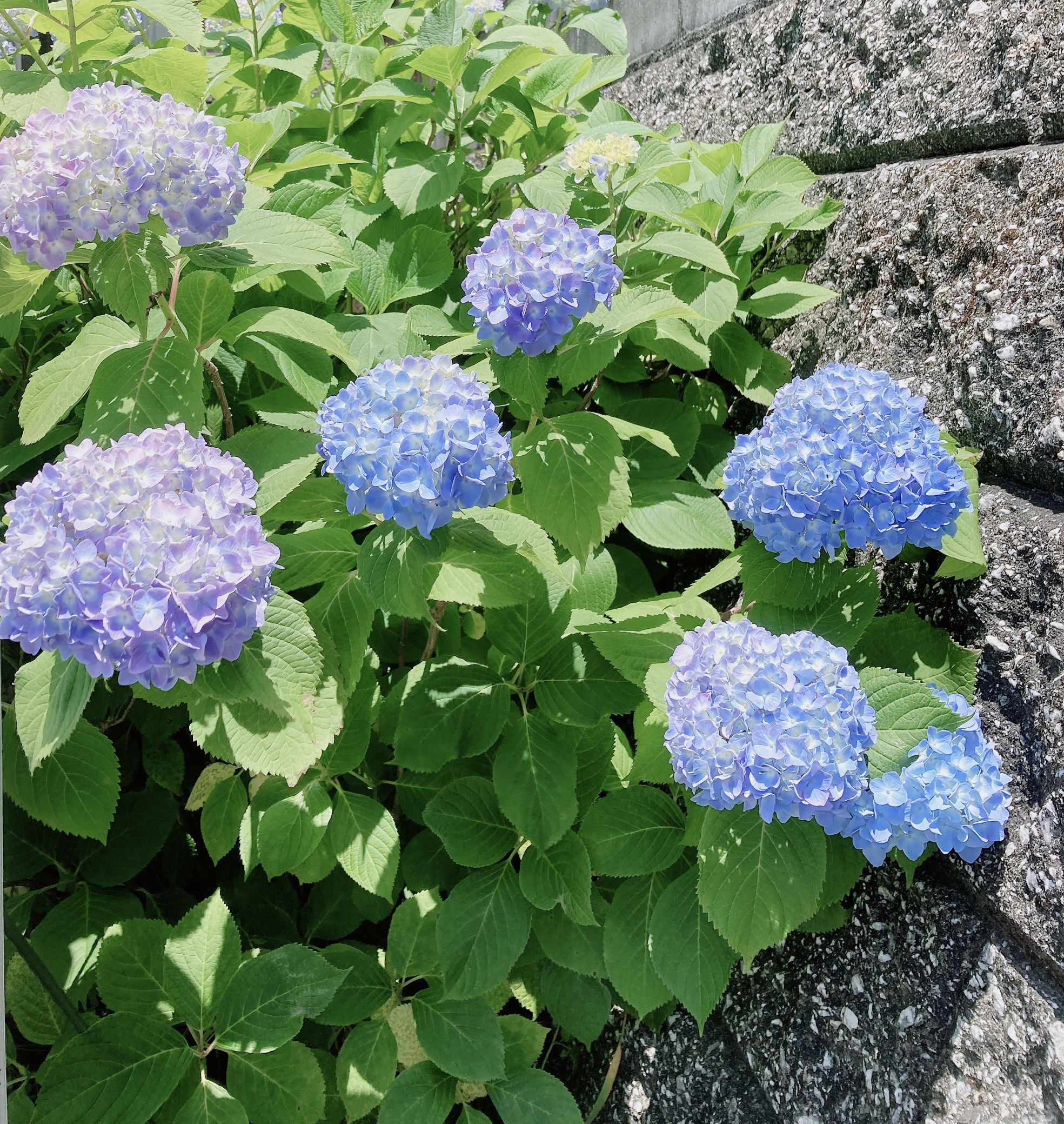 ブラッシュ/NARS/パウダーチークを使ったクチコミ（3枚目）